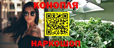 мяу мяу мука Лесосибирск